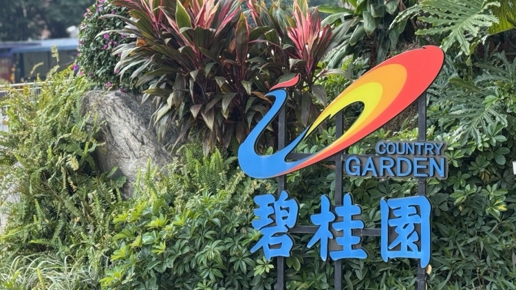 碧桂园深夜发布盈利预警