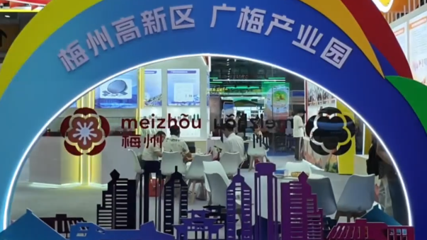 打卡广博会最“香”展区！感受舌尖上的乡村振兴