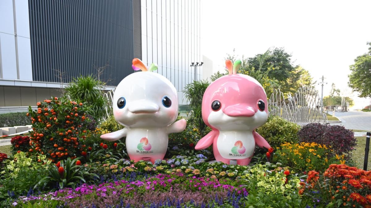 十五运会，来香港感受无限精彩！赛事安排、购票攻略戳内文→