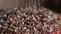 我为新广东点赞|“新农人”回乡创业记:小肇实里有大发展! 我为新广东点赞|“新农人”回乡创业记:小肇实里有大发展!