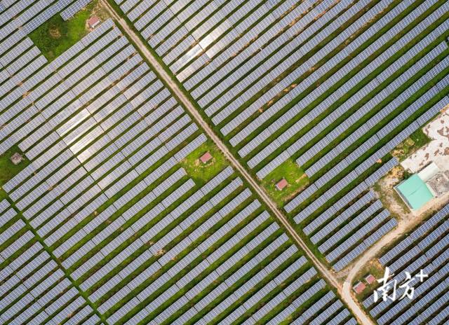广东阳西县织篢农场，一眼看不到边际的光伏面板正源源不断地将太阳能转化为电能。