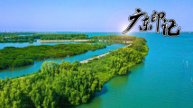 【广东印记】湛江红树林国家级自然保护区