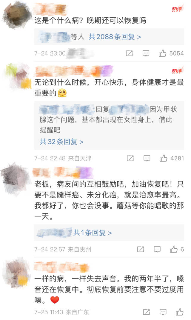 网友评论 网友评论