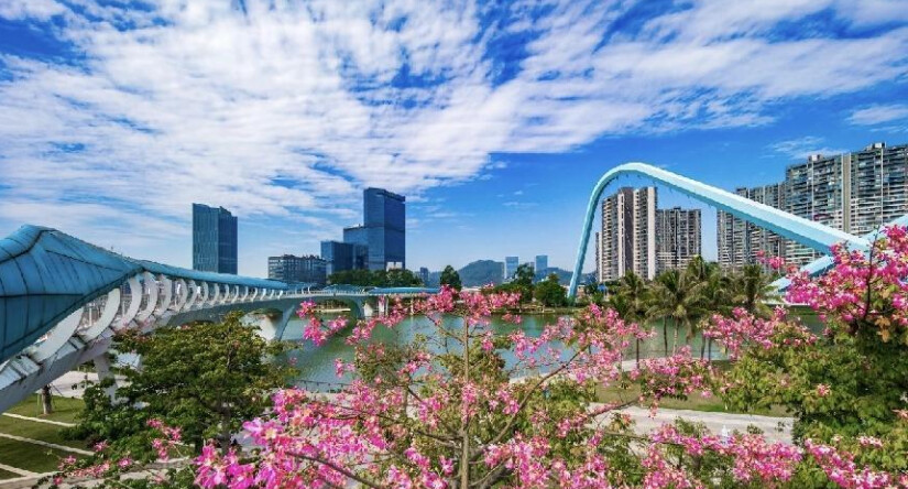 南沙区美好洁净城市环境