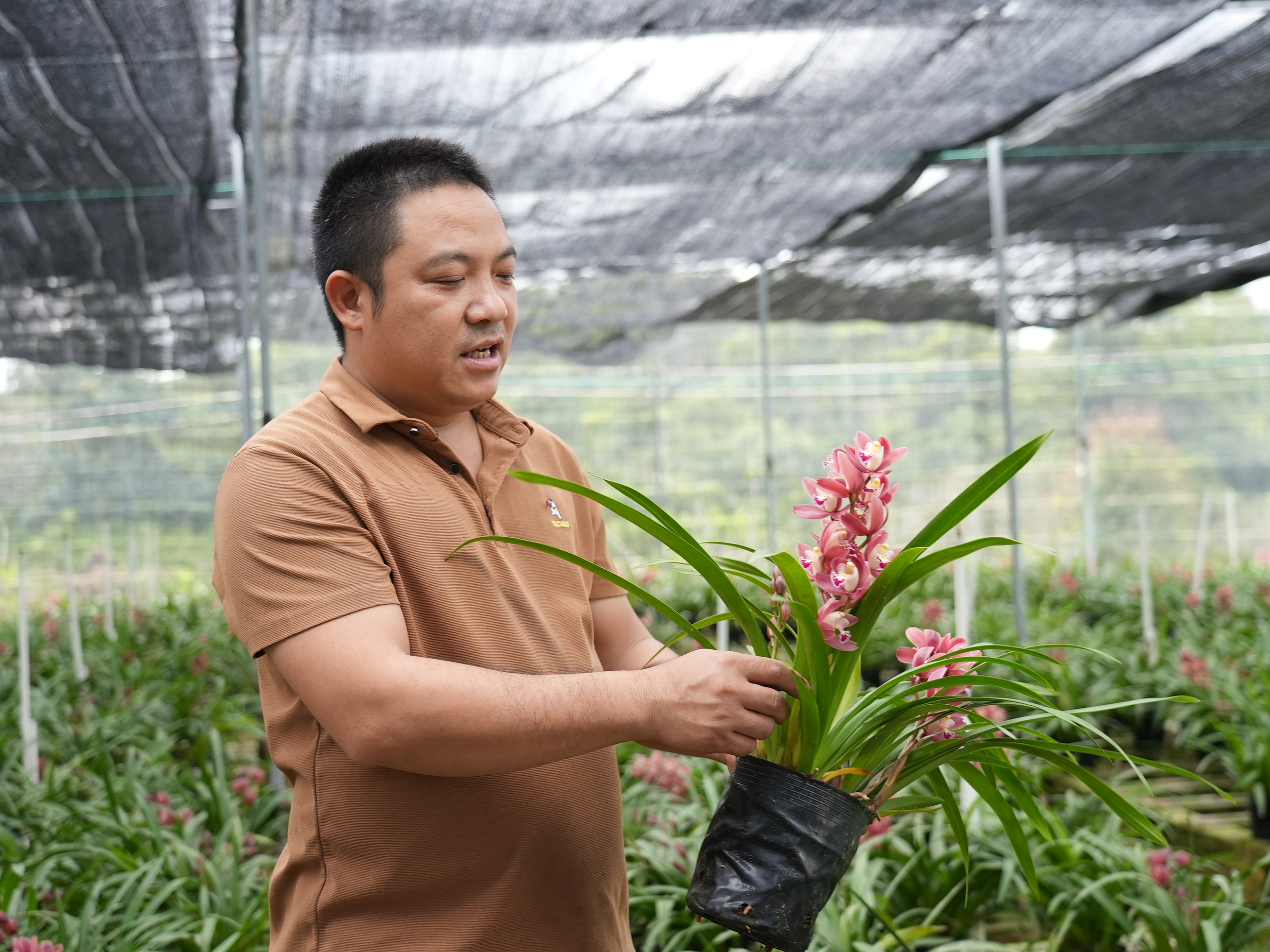 邓荣生的兰花基地里种植了28个兰花品种。