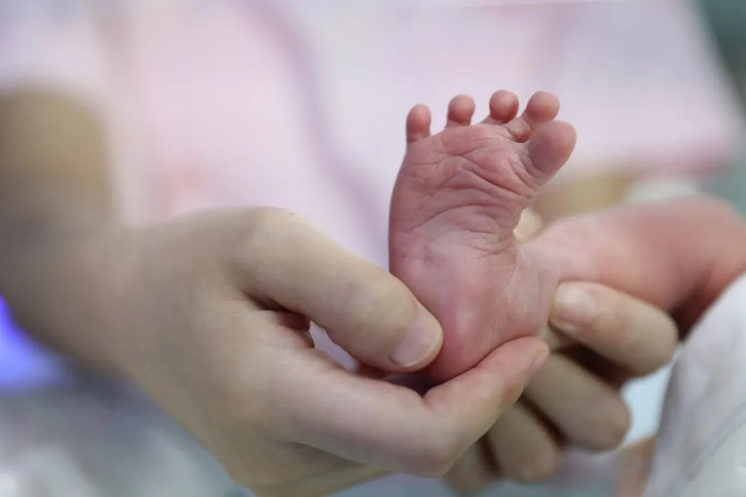 资料图。图源：新华社