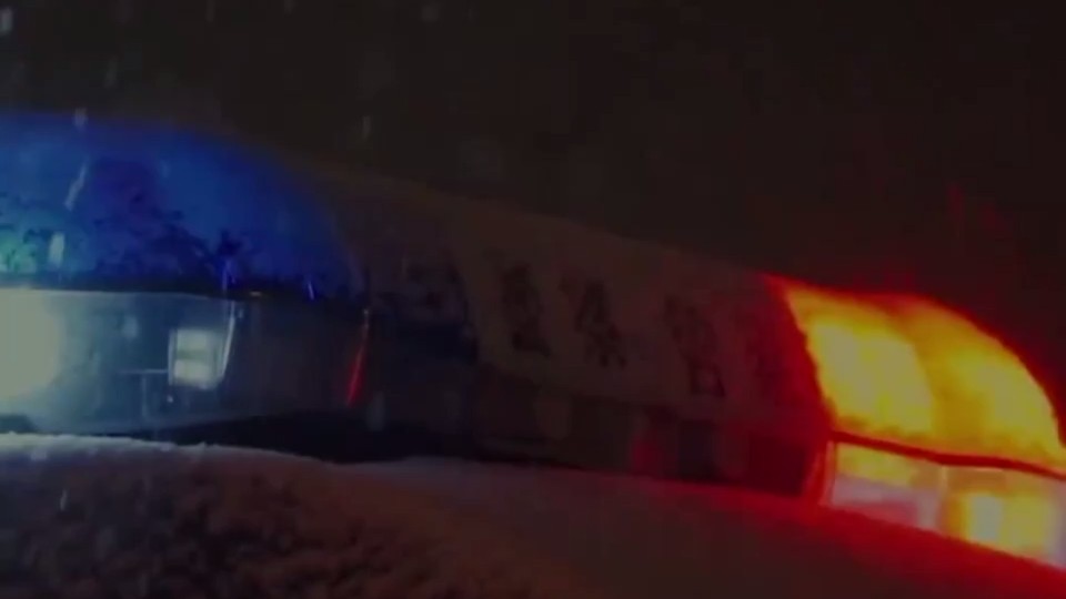 为什么小朋友长大了想当警察？