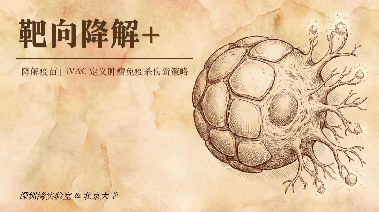 Chinese scientists develop innovative molecule for precision cancer treatment