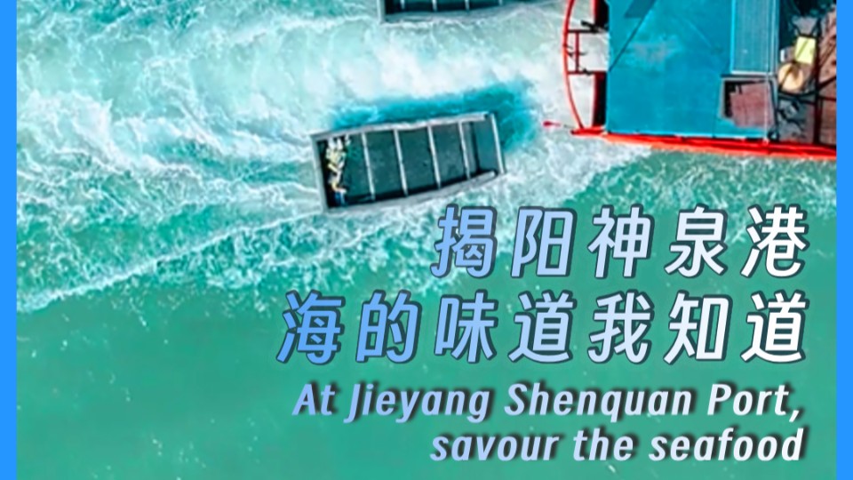 At Jieyang Shenquan Port, savour the seafood