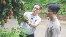 今年将选派不少于2000人!广东农村科技特派员如何支撑“百千万工程”? 今年将选派不少于2000人!广东农村科技特派员如何支撑“百千万工程”?