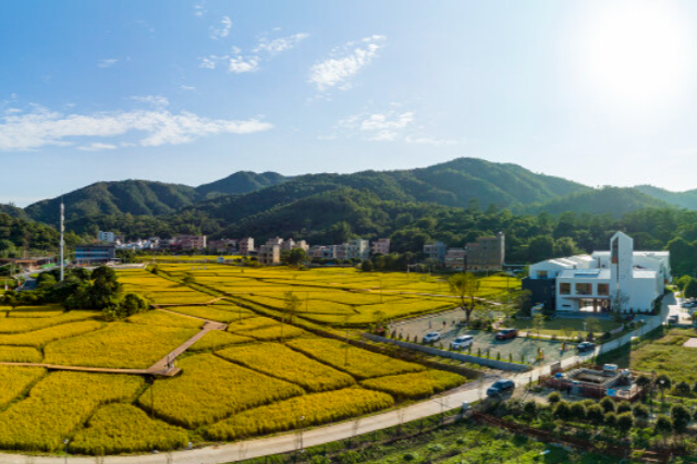 Latest progress of "Beautiful Rural Corridors" construction in Huizhou's Huiyang