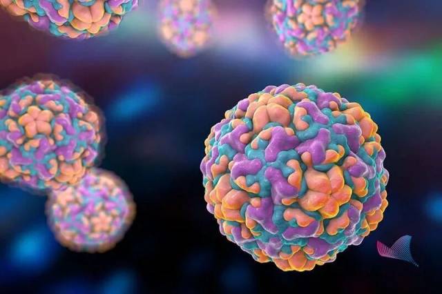 鼻病毒。图源：科普中国