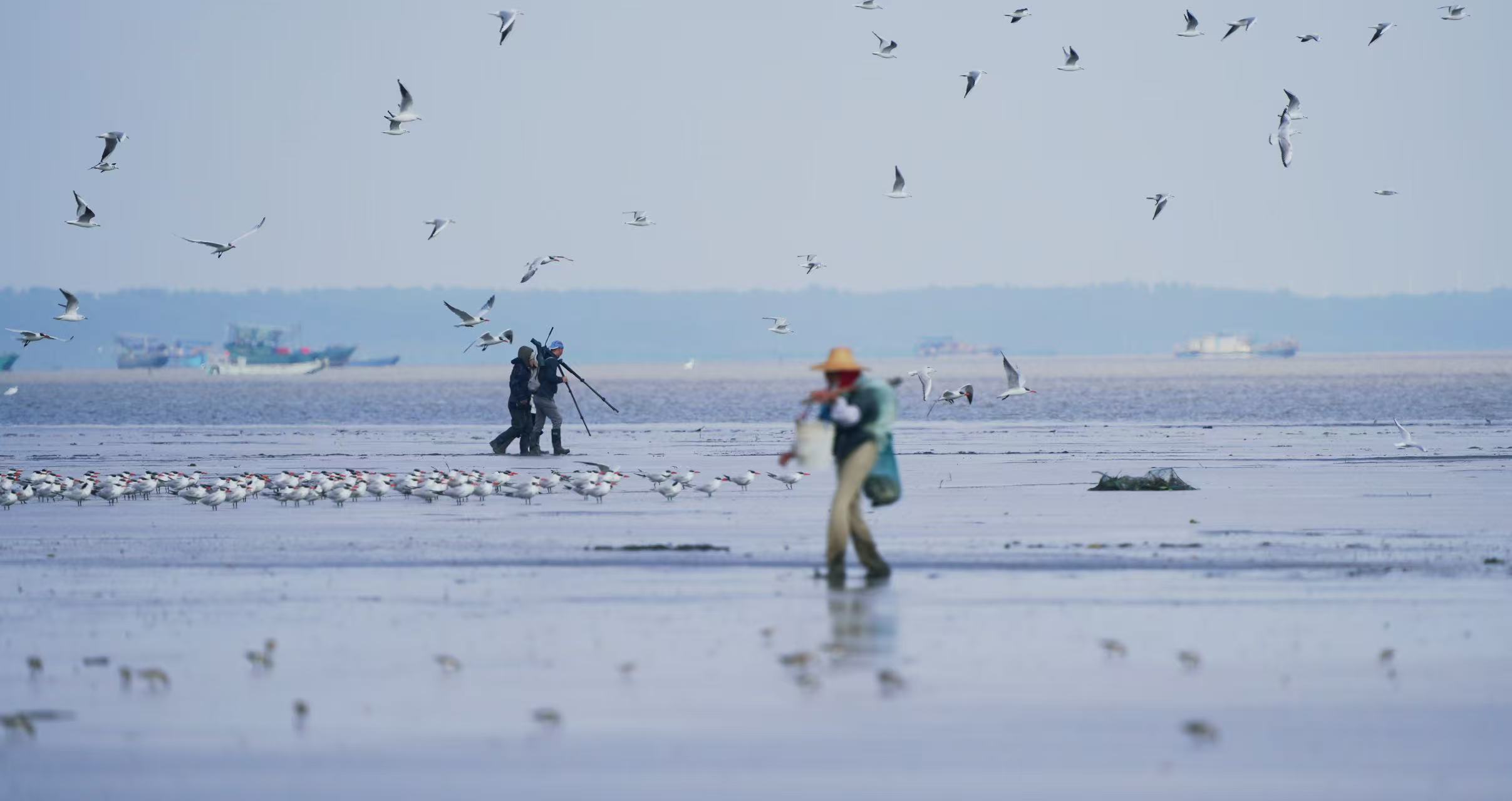 监测工作现场（通讯员供图）