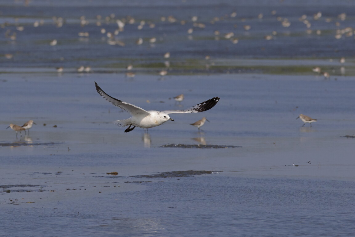 监测工作现场（通讯员供图）