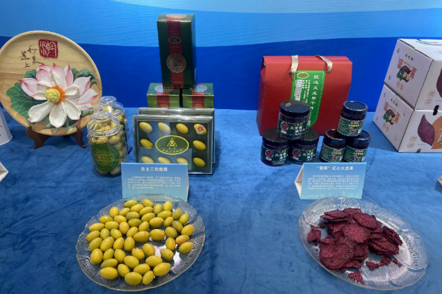 Shantou's foreign capital utilization grows 25.4% annually during 14th Five-Year Plan