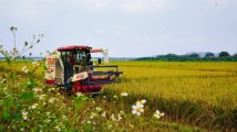 惠城“新农人”关雪松坚持科技助农 致力打造绿色无公害食材种植基地 惠城“新农人”关雪松坚持科技助农 致力打造绿色无公害食材种植基地