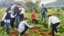 网络强村·助力“百千万工程”新媒体特训营泰美镇首期实操班举行 网络强村·助力“百千万工程”新媒体特训营泰美镇首期实操班举行