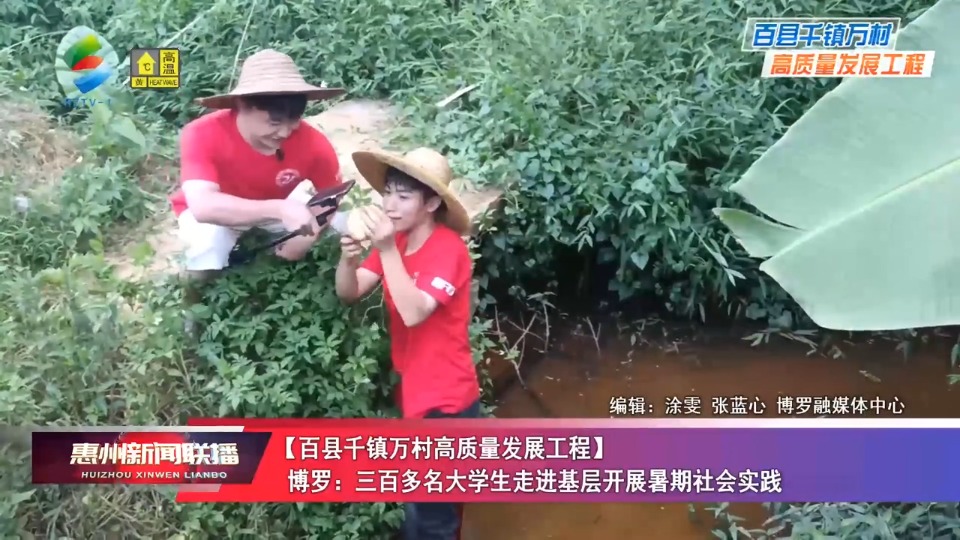 惠州博罗：三百多名大学生走进基层开展暑期社会实践