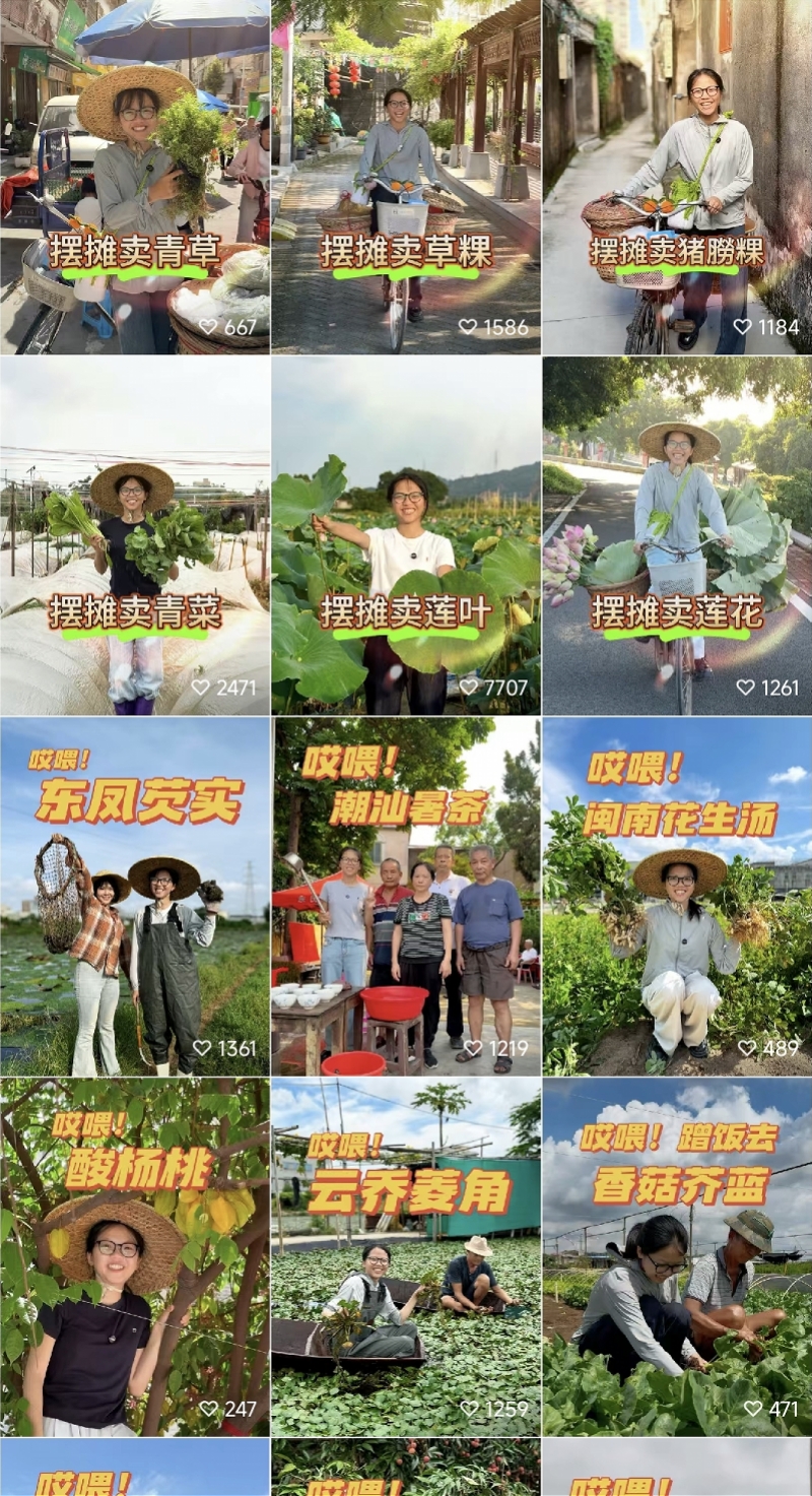 张家口市推出数字化政企服务新平台