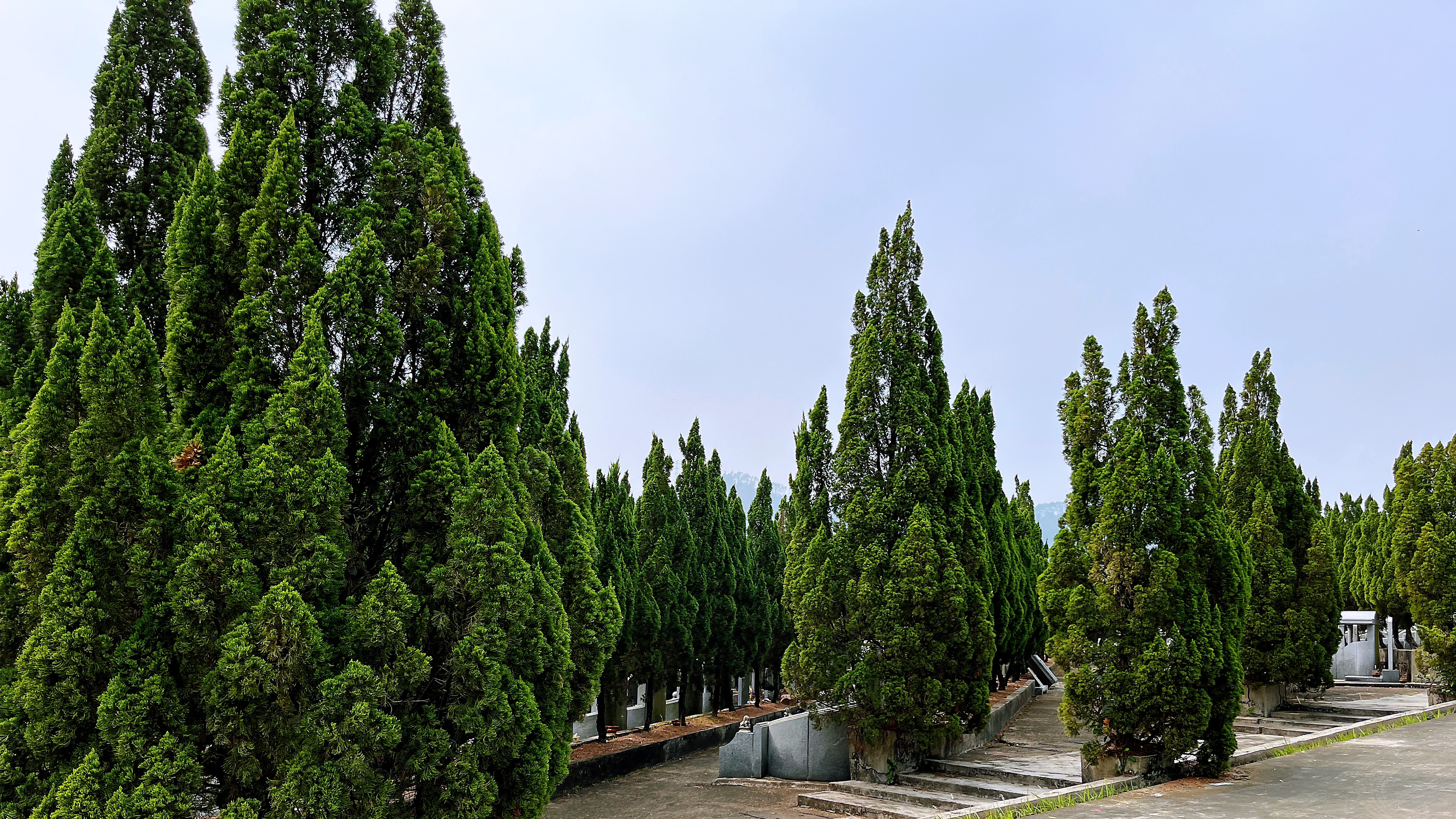 广州清明祭扫预约平台21日上线，市民可提前7天预约