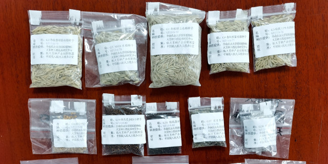 Space seeds to be bred in Guangdong's rural area