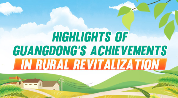 Infographics丨Guangdong's achievements in rural revitalization