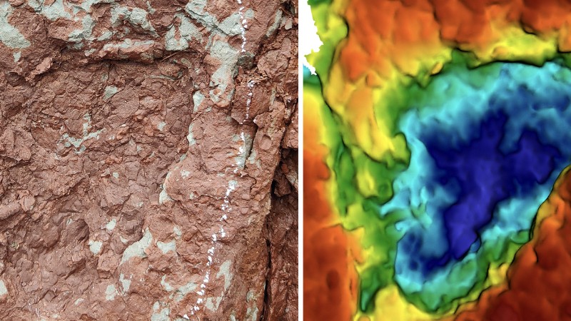 World's smallest sauropod dinosaur tracks found in China's Xizang region: expert