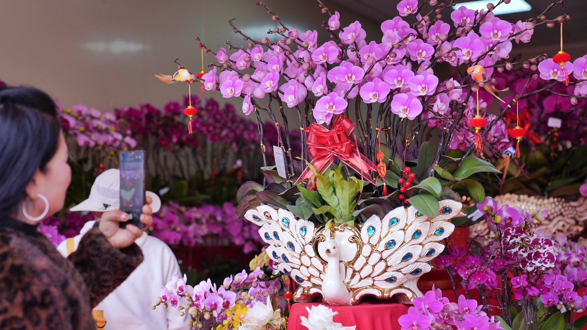 Guangzhou's Lingnan Flower Market: a multitude of New Year flowers on the market