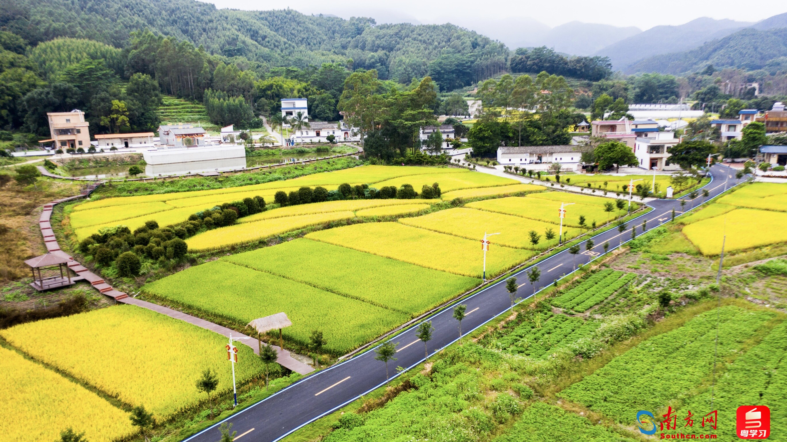 小洞村“三变五合”后脱胎换骨