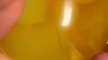 喜之郎果冻被曝“出现头发”!客服:产品已开封,异物来源存疑 喜之郎果冻被曝“出现头发”!客服:产品已开封,异物来源存疑