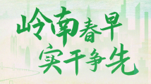 岭南春早 实干争先 岭南春早 实干争先