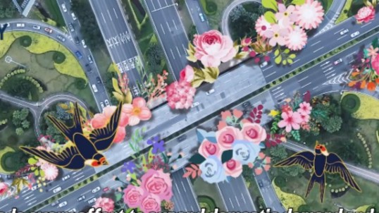 Naked-eye-3D Video | The "accelerated speed" of Guangdong
