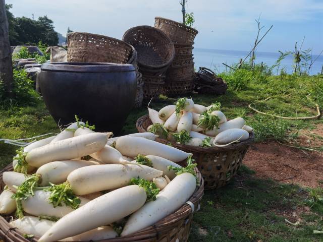 潮汕老菜脯以白玉萝卜为原料制作而成。