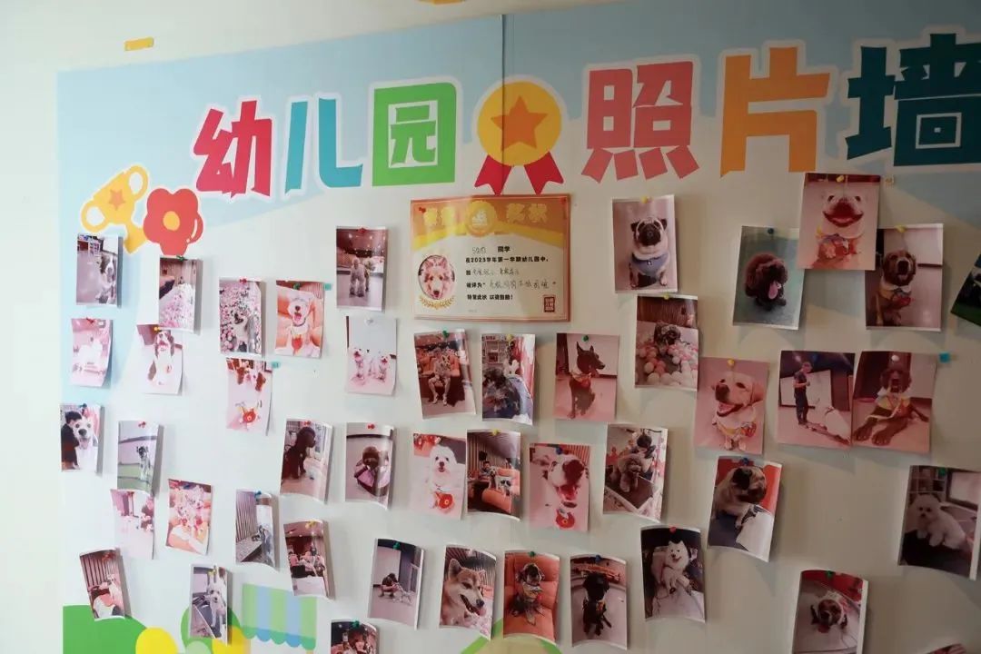 幼儿园的照片墙
