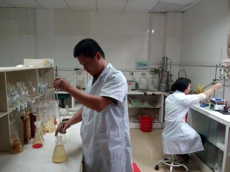 “向上突围”云浮高质量发展融媒报道㉗丨广东星耀生物科技有限公司：从“传统果”到“黄金果”的嬗变