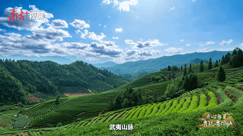 南方+ 杨奇 拍摄