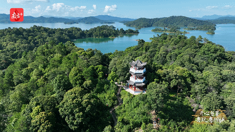 万绿湖 南方+ 杨奇 拍摄