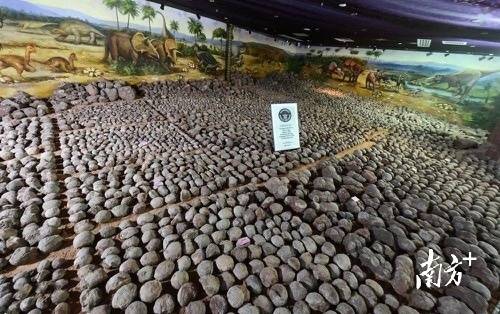 巴伐利亚夜景。