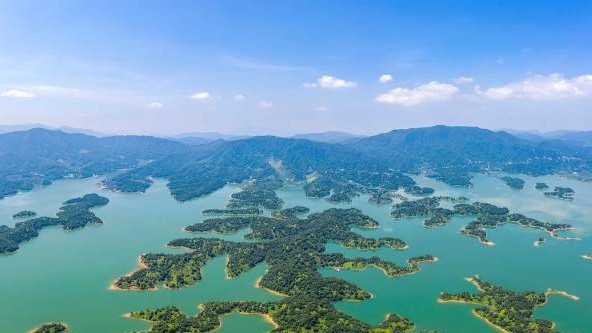 亦动亦静，客家双城打卡攻略→