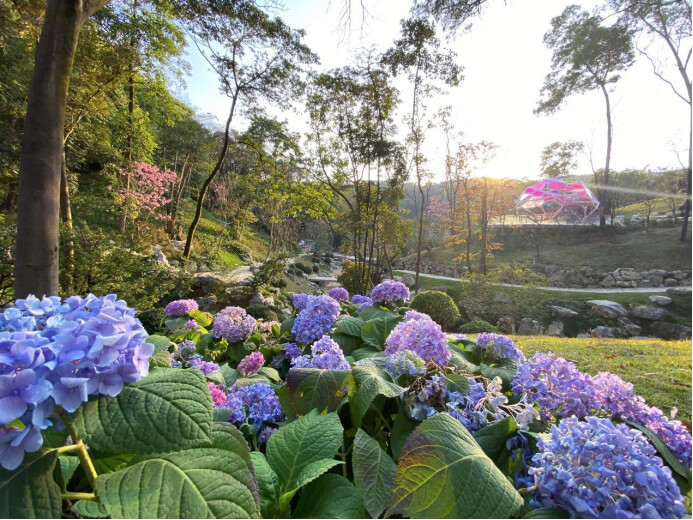 云萝植物园（通讯员供图）