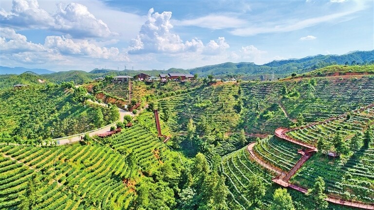 【河源】全国推荐！紫金这条旅游精品线路，你打卡了吗？