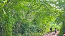 返乡创业10年,云浮大学生在2500亩山林中建农场 返乡创业10年,云浮大学生在2500亩山林中建农场
