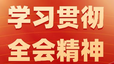 全省社工深入学习贯彻党的二十届四中全会精神