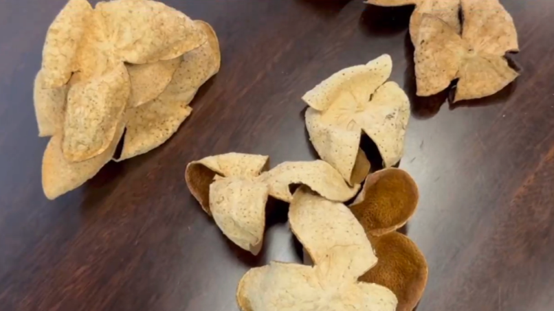 售价千元！成本仅70元？记者曝光新会陈皮市场乱象