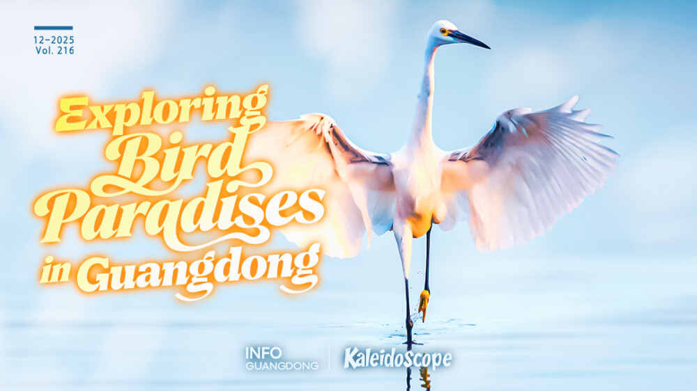 ​Birdwatching Guide | Exploring "Bird Paradises" in Guangdong