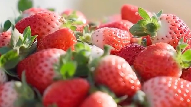 “膨大剂”催熟草莓这个月大量上市？记者调查→