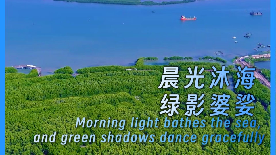 ?Morning light bathes the sea, and green shadows dance gracefully