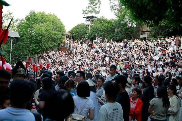 鼎和保险数字化转型成果斩获两项荣誉