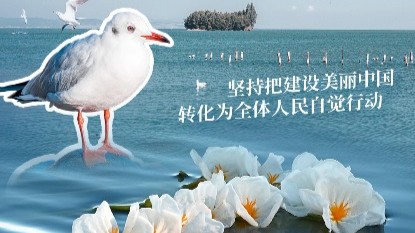 幸会中国｜坚持把美丽中国建设转化为全民行动，守护高原明珠！