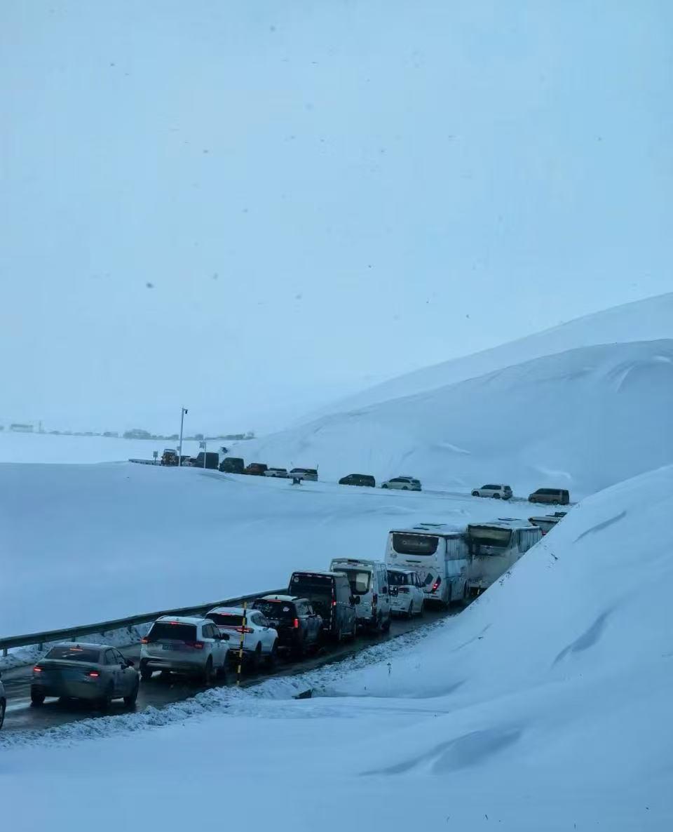 网友称在喀纳斯遭遇暴雪。